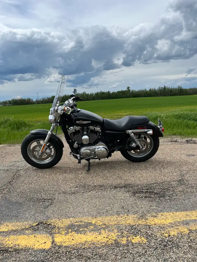  2012 Harley Davidson Sportster XL 1200 Custom  in Street, Cruisers & Choppers in Edmonton - Image 3