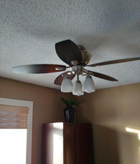 Ceiling fan light kit and remote control