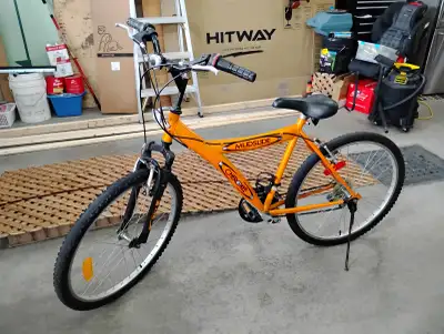 Vélo de montagne, View more