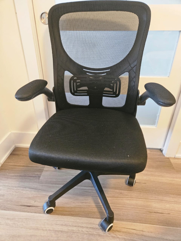 Ergonomic Chair for sale with free delivery. in Chairs & Recliners in Ottawa