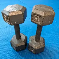 Haltères en fonte - 15 lbs - Cast Iron Dumbbells