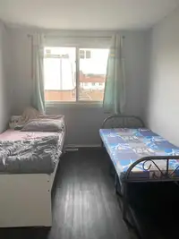 Share  room available for female
