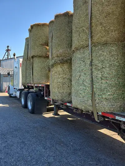 Grass round bales - pick up Cache Creek, View more
