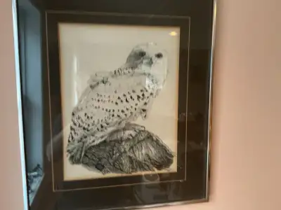 Bruce Brooks Lithograph of Owl, View more