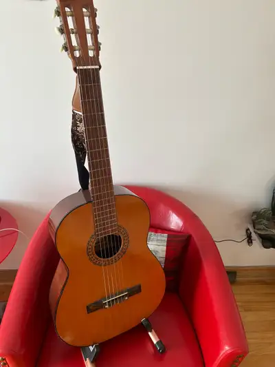 Guitare Ariana 480, View more