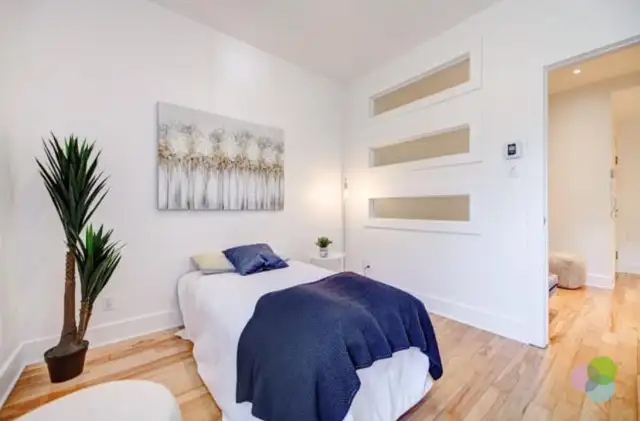 Room in 2bdr condo, Plateau, furnished, all included62864382809473121