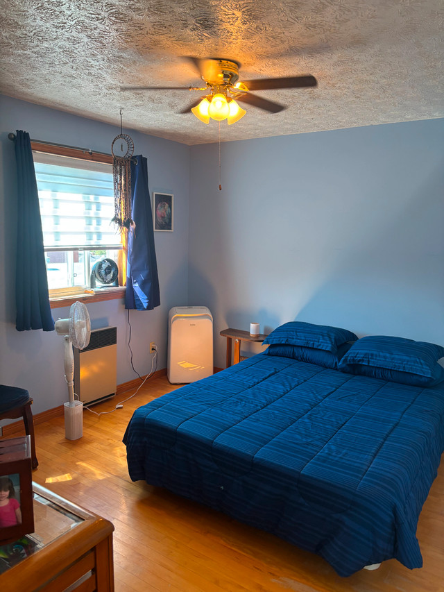 3 1/2 style LOFT ! dans Locations longue durée  à Sherbrooke - Image 3