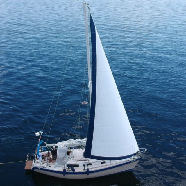 Voilier à Vendre / Sailboat for sale dans Voiliers  à Ville de Montréal - Image 2