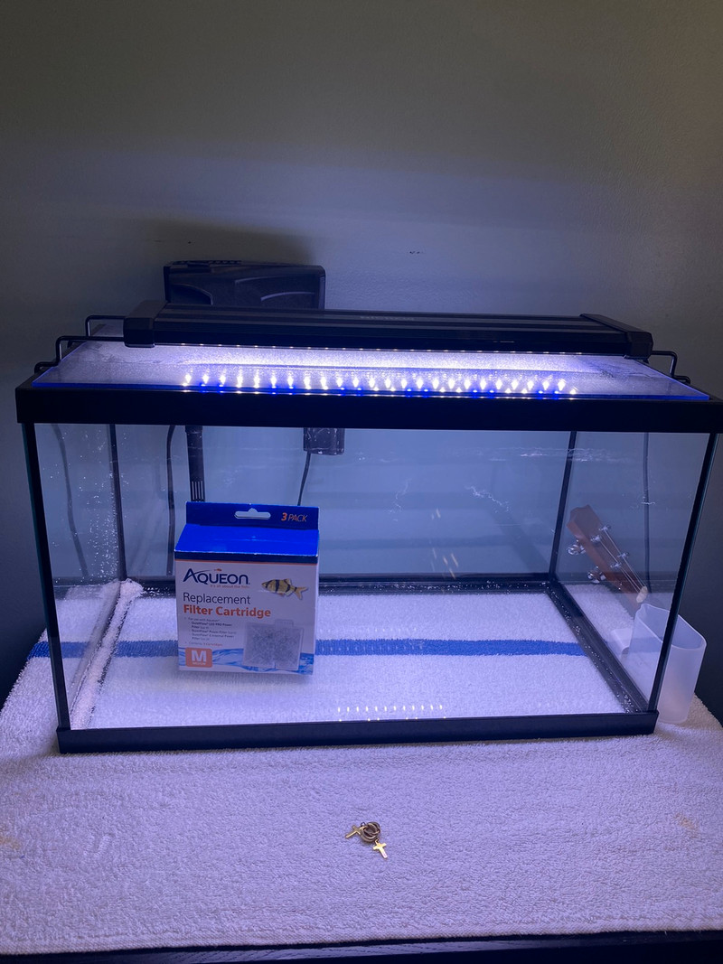 Gallon fish tank for sale  