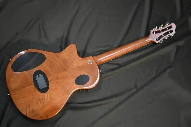 CARAYA MULTISPECIALIST III GUITAR in Guitars in Dartmouth - Image 4