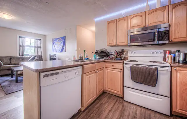 172 Regina St. N. Apt. #5 Room#2 - SUBLET $875 includes parking in Room Rentals & Roommates in Kitchener / Waterloo - Image 7