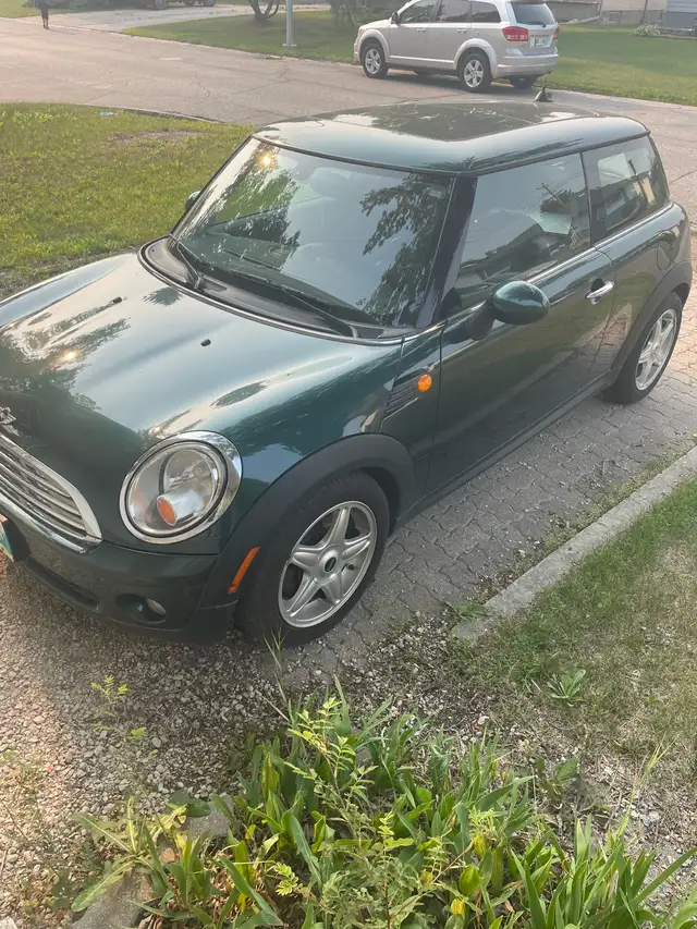 ‘MINT’ Mini Cooper63406570555395121