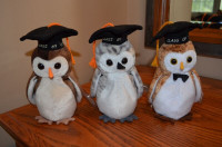 Ty Beanie Babies *Retired & Rare* - Set of 3 Graduation Owls