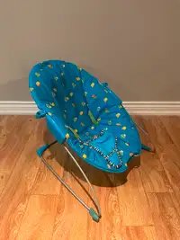 Baby Bouncer and Rocker