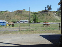Easy Access Pasture For Rent - Louis Creek