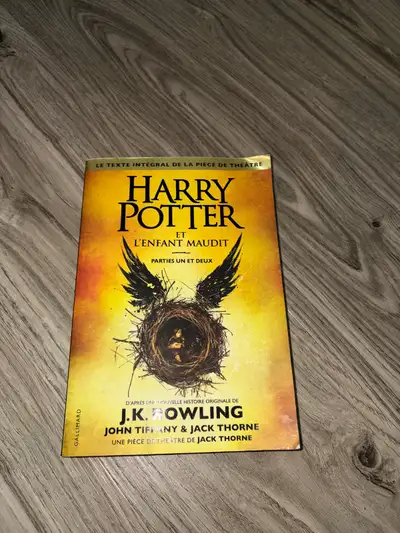 Roman Harry Potter et l’enfant maudit partie un et deux  , View more