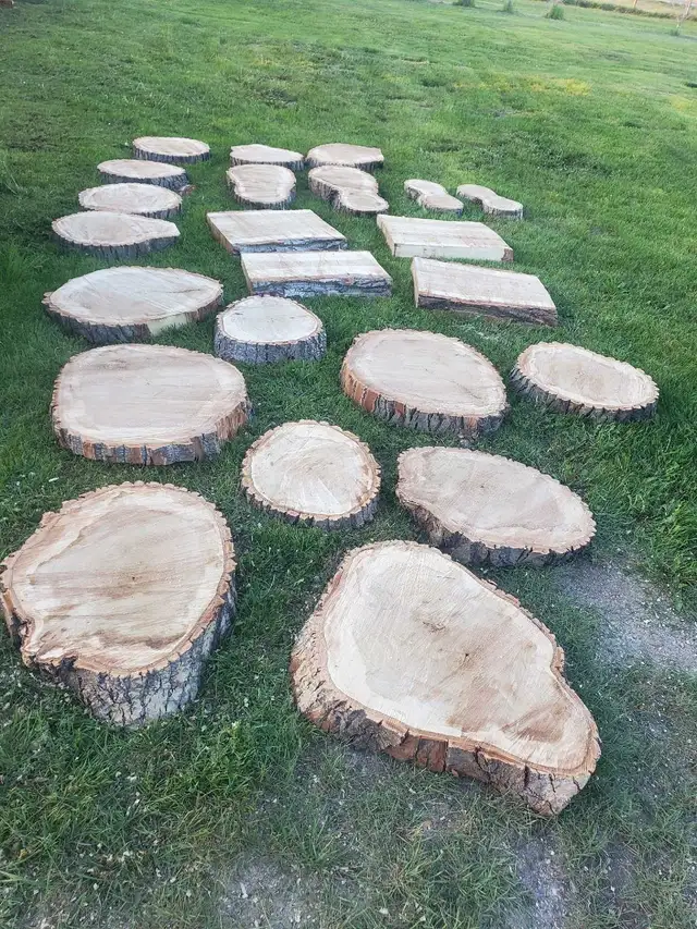 Medium & Large Raw Wood Cookie Slabs in Hobbies & Crafts in Regina - Image 2