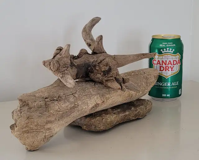Petit Bois Flotté Accessoire sur base Aquarium Driftwood w/base in Hobbies & Crafts in Laval / North Shore - Image 3
