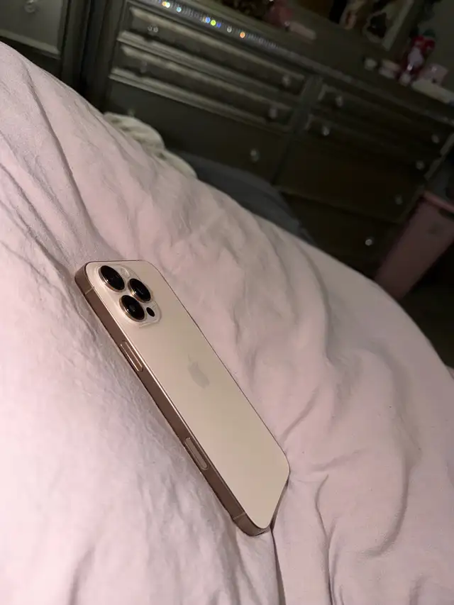 IPhone 16 Pro Max565620389257553921
