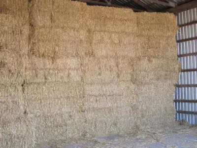 Wheat Straw for sale, View more
