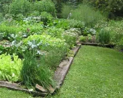 garden cleaning service 593259215098357761