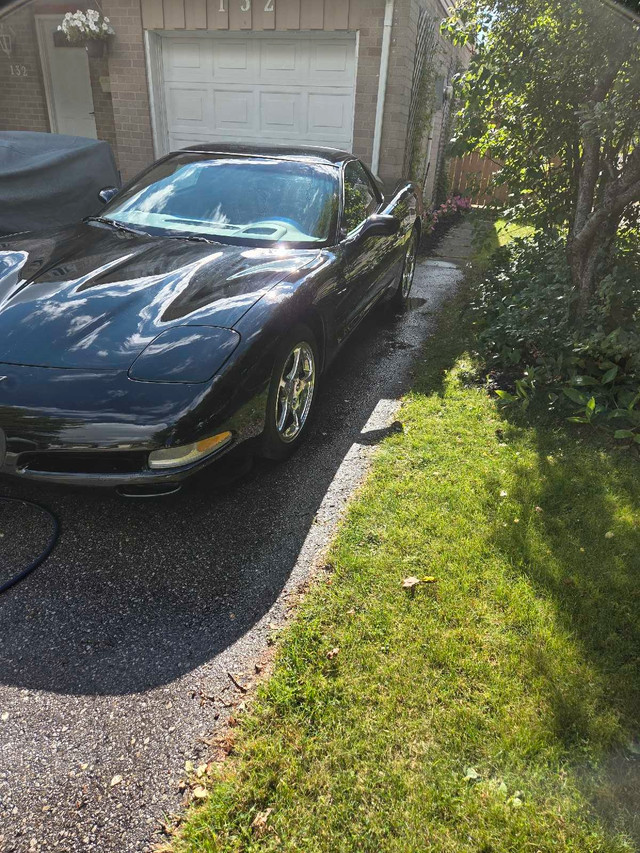 2003 Chevrolet Corvette  in Cars & Trucks in Kitchener / Waterloo - Image 2