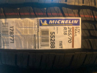 18” Michelin LTX trail tires