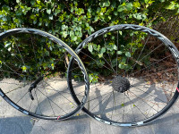 HED Ardenne+ LT Road Bike Wheelset (needs straightening)