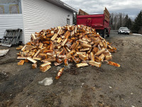 Dump truck loads of Firewood