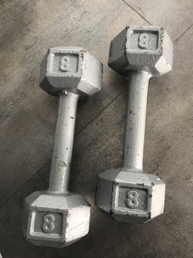 8 lbs cast iron dumbbells  in Exercise Equipment in Timmins