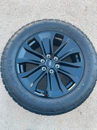 22. Ford F-150 2005-2023 Sports Black wheels and Nitto tires