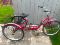Red Schwinn Adult Tricycle