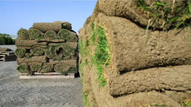  SOD & SOIL PACKAGE – 700 SQFT – ONLY $549.00! 628643640011551210