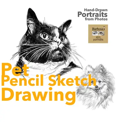 Hand-Drawn Portraits from photos (person or pet), View more