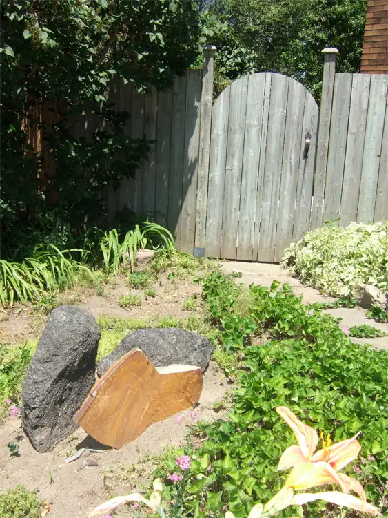 Photo 11