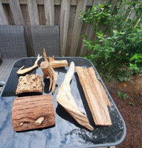 7 piece Driftwood for Decor