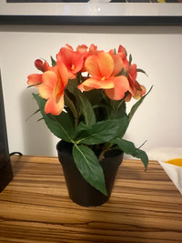 New Ikea Fejka flower pot plant