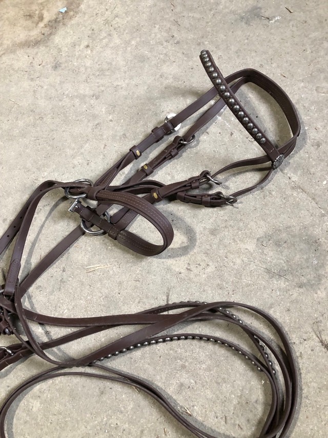 Dr. Cook Bitless Bridle Deluxe Beta Headstall & Reins in Equestrian & Livestock Accessories in Winnipeg - Image 2