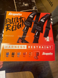 Youth Dragonfire Harness