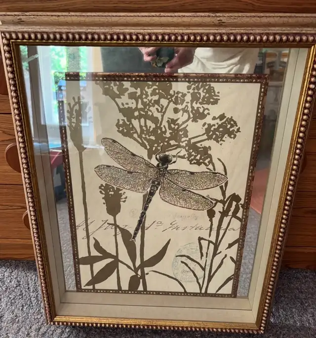 Set of 5 Decorative Framed Prints
