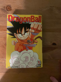 Dragon ball book
