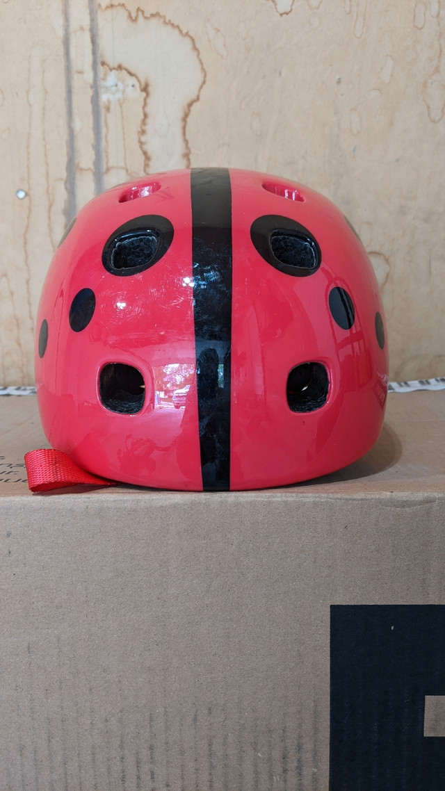 Ladybug Toddler Bicycle Helmet in Clothing, Shoes & Accessories in Winnipeg