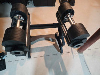 Snode AD 80 dumbbells 