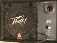 Peavey Wedge Monitor System 