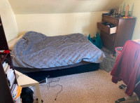 Room Summer Sublet (May 1st 2024 to August 31st 2024)