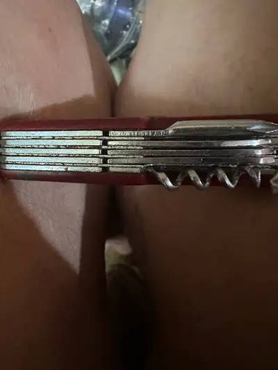 Swiss Army knife. I believe it's Woodsman. , View more