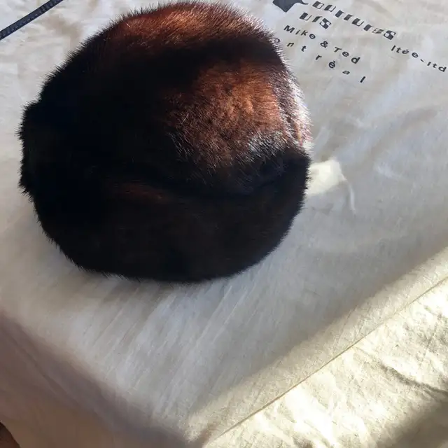 Manteau fourrure véritable en Vison / 2 choix in Women's - Tops & Outerwear in Shawinigan - Image 7