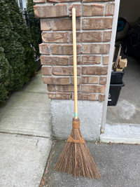 Dutch garden broom