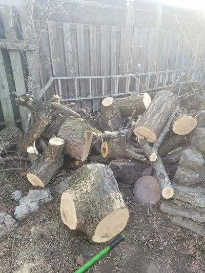 FREE firewood! first come first served!, View more