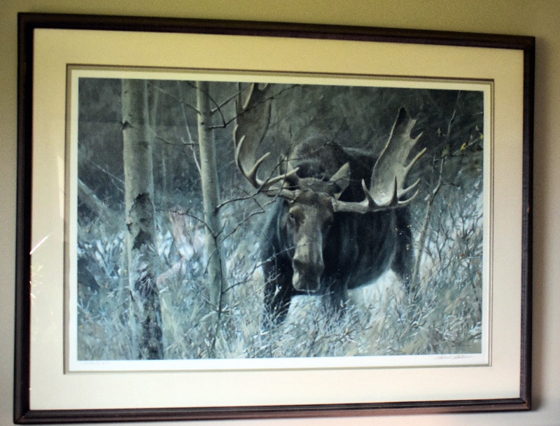 Framed Fine Art Print "The Challenge" by Robert Bateman Arts